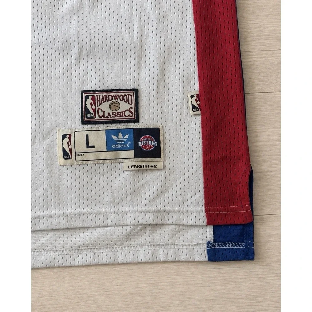 Dennis Rodman #10 Detroit Pistons Adidas Hardwood Classics Jersey Men's L